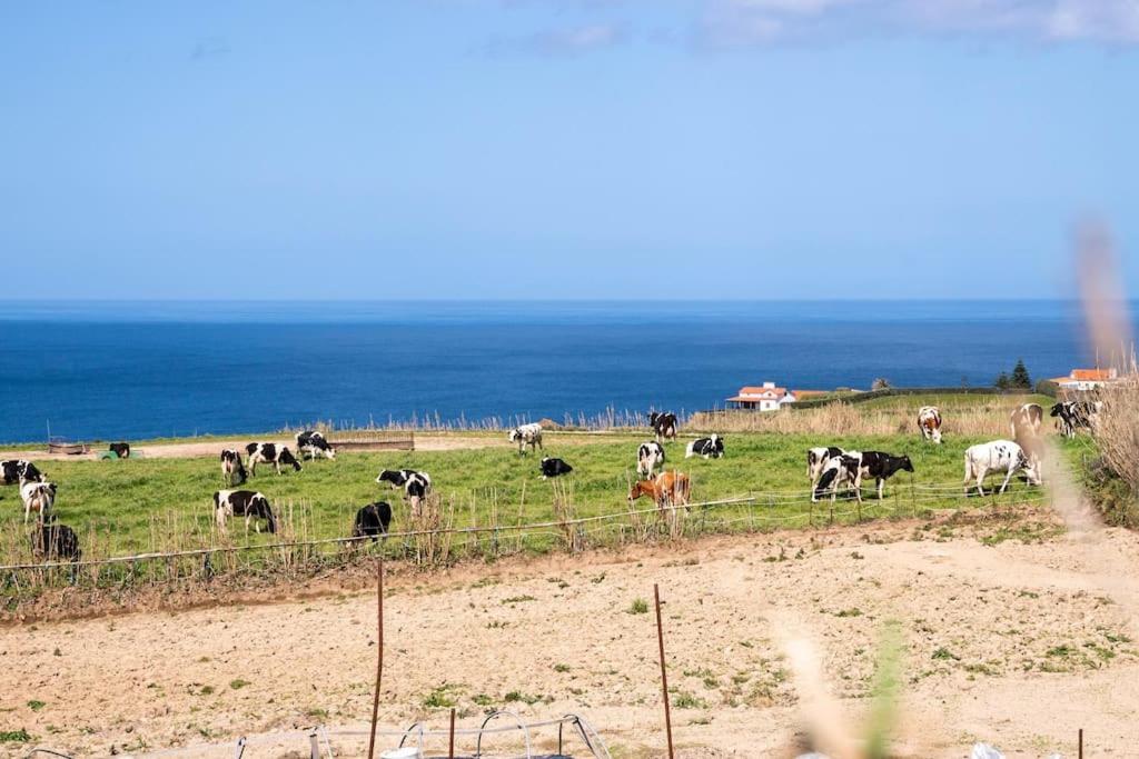 Country House In Azores - S. Miguel Ribeira Grande Esterno foto